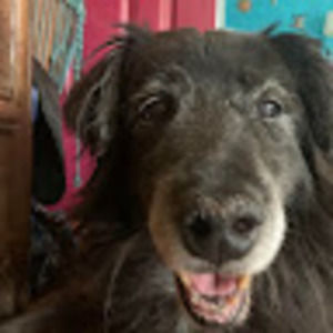 Meet your Posher, Giselle